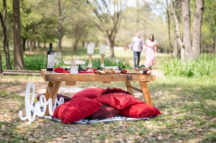 Luxury Picnics