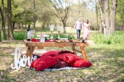 Love20picnic 1738329771.jpg Choose the Best Tables, Chairs and Tents in Gardendale, AL