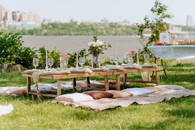 Party Rentals and Luxury Picnics combined